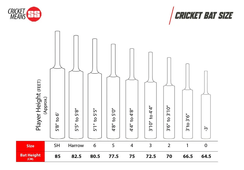 SS Extreme Kashmir Willow Cricket Bat | KIBI SPORTS