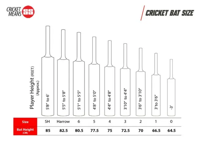 SS SKY Stunner Kashmir Willow Cricket Bat | KIBI SPORTS